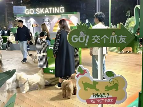 生丨宠物坐高铁侯毅下厨房不朽情缘网站实探派特鲜(图2)