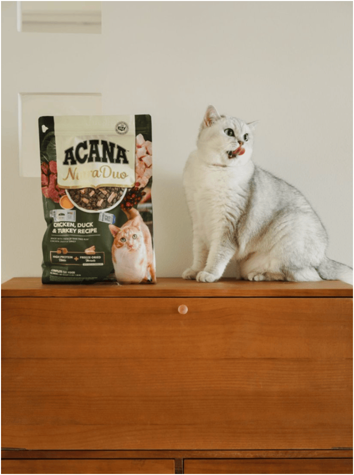 首发“双拼倍护猫粮”巨头的中国战略再提速不朽情缘平台宠物食品新闻：爱肯拿在华全球(图3)