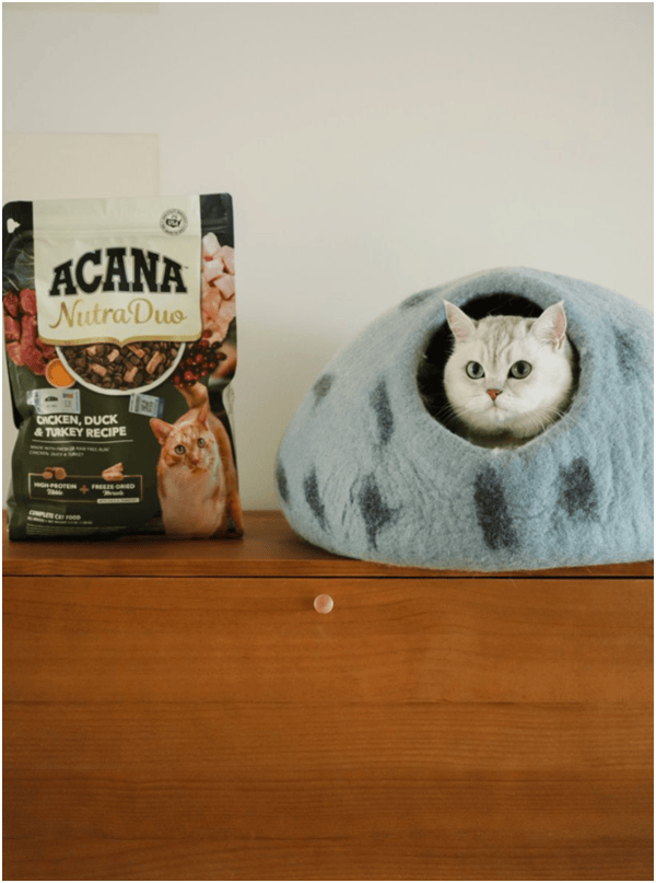 首发“双拼倍护猫粮”巨头的中国战略再提速不朽情缘平台宠物食品新闻：爱肯拿在华全球(图4)