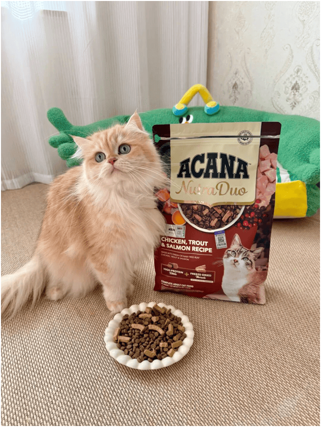 首发“双拼倍护猫粮”巨头的中国战略再提速不朽情缘平台宠物食品新闻：爱肯拿在华全球(图6)