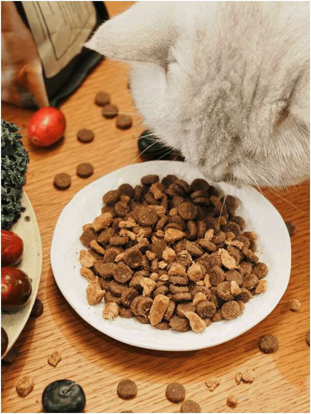 首发“双拼倍护猫粮”巨头的中国战略再提速不朽情缘平台宠物食品新闻：爱肯拿在华全球(图7)