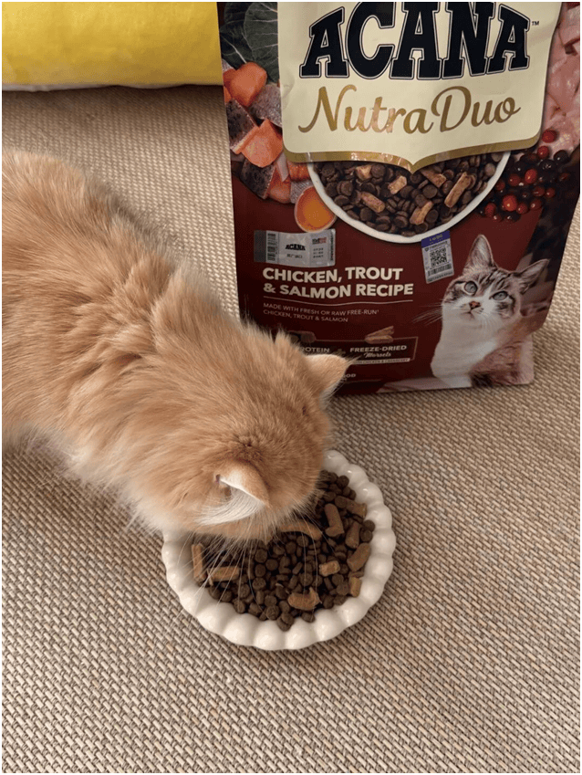 首发“双拼倍护猫粮”巨头的中国战略再提速不朽情缘平台宠物食品新闻：爱肯拿在华全球(图8)