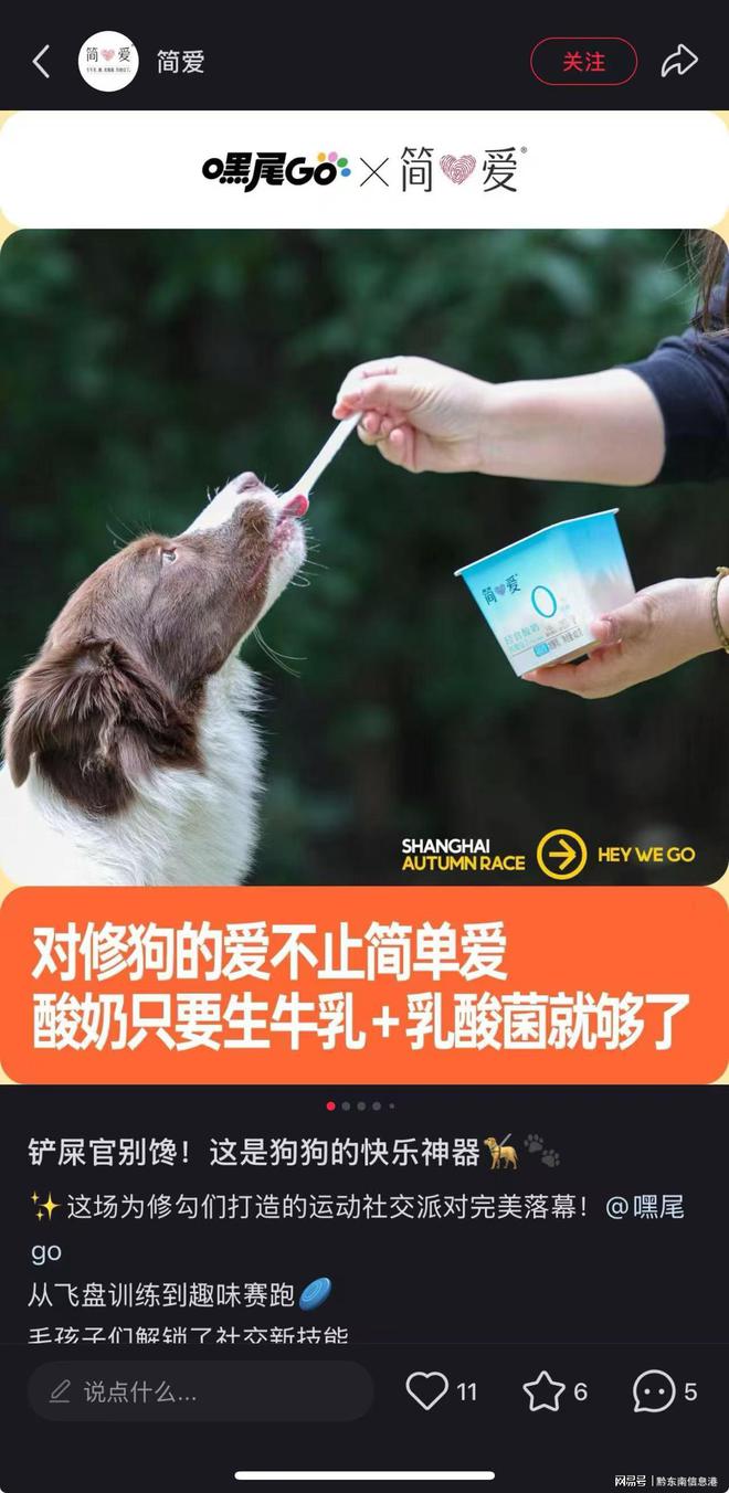 方”撬动萌宠经济与母婴信任双赛道不朽情缘