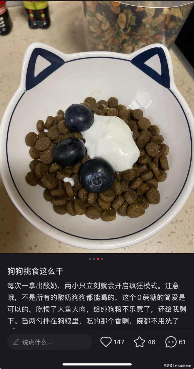 方”撬动萌宠经济与母婴信任双赛道不朽情缘首页简爱酸奶以“纯净配(图2)