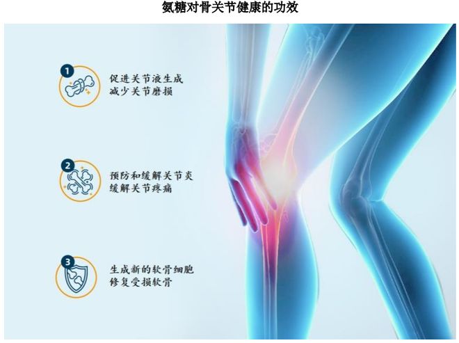 扎根运动健康赛道凭多元布局赢长远未来不朽情缘mgHMB全球龙头技源集团:(图3) 扎根运动健康赛道凭多元布局赢长远未来不朽情缘mgHMB全球龙头技源集团:(图3)