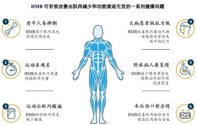 扎根运动健康赛道凭多元布局赢长远未来不朽情缘mgHMB全球龙头技源集团:(图9) 扎根运动健康赛道凭多元布局赢长远未来不朽情缘mgHMB全球龙头技源集团:(图9)